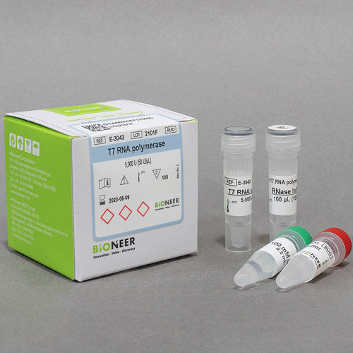 Kit di reagenti enzima - Bioneer Corporation - proteasi / inibitore di Rnase / per sintesi di RNA