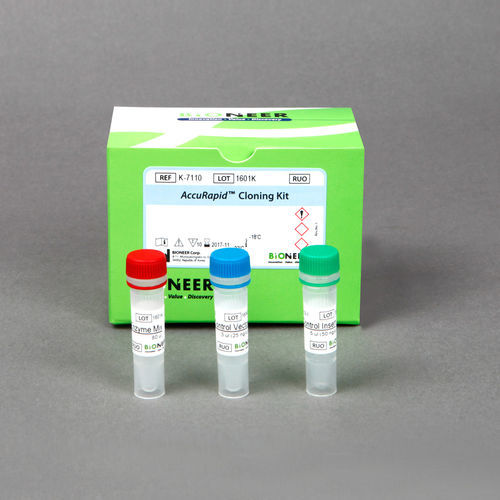 Kit di reagenti enzima - AccuRapid™  - Bioneer Corporation - da ricerca / per PCR