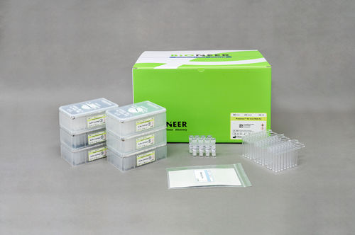 Kit di test clinico - Protonion™ 96 - Bioneer Corporation - nasofaringeo / di saliva / di espettorato