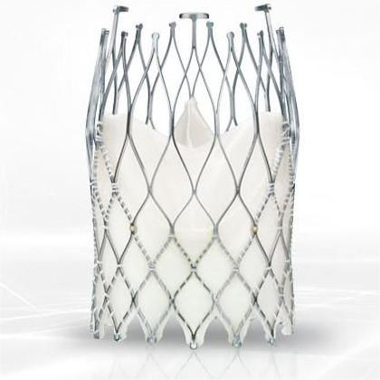 Bioprotesi valvolare aortica - ALLEGRA™ TAVI - Biosensors International - in tessuto bovino / senza suture