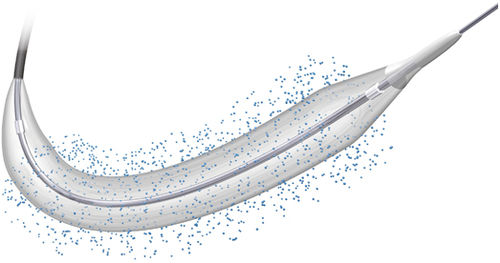 Catetere PTCA - BIOSTREAM™ - Biosensors International - coronarico / con palloncino / con rivestimento idrofilico