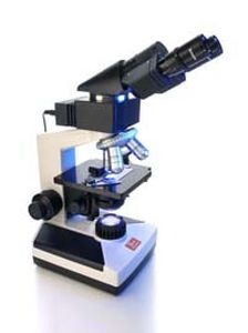 Microscopio ottico - imLD | 84201 - BioSystems S.A. - da laboratorio / dritto / binoculare
