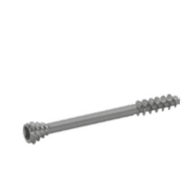 Vite per compressione ossea per falange della mano - 3170 series - SOFEMED International - per falange del piede / canalare / in titanio