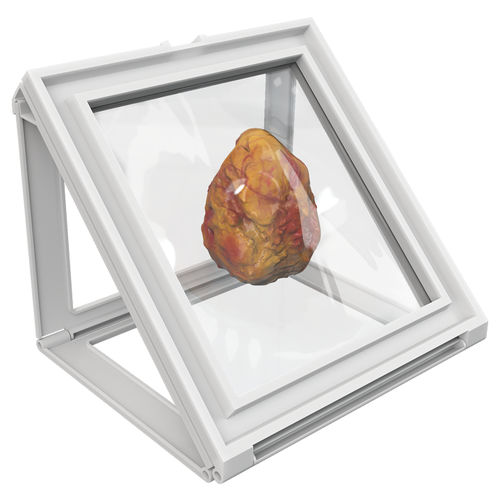 Contenitore per tessuti - Wedge® - Faxitron Bioptics
