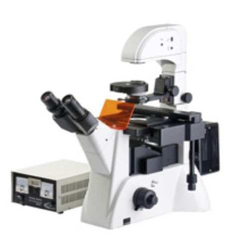 Microscopio invertito - Versus - Medline Scientific - ottico / per monitoraggio di colture cellulari / trinoculare