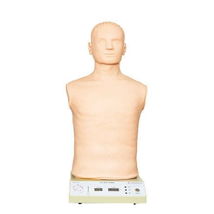 Manichino didattico per assistenza generale - GD/J18 - Shanghai Honglian Medical Instrument - parte superiore del corpo / di arteria