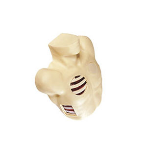 Simulatore per drenaggio toracico - GD/L67  - Shanghai Honglian Medical Instrument - di pneumotorace / di torso