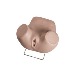 Simulatore di isteroscopia - GD/F35 - Shanghai Honglian Medical Instrument - per cure ginecologiche / femminile / di parte inferiore del corpo