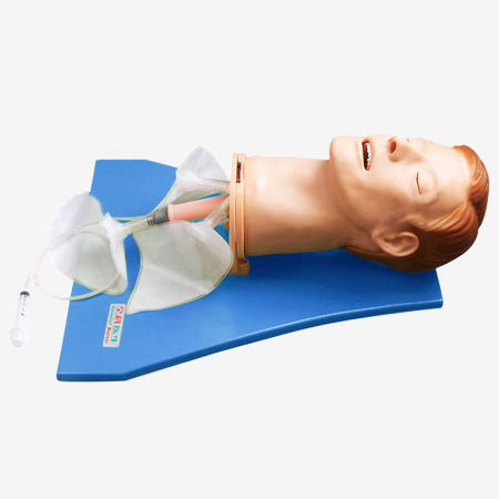 Manichino didattico per gestione delle vie aeree - GD/J55 - Shanghai Honglian Medical Instrument - di testa