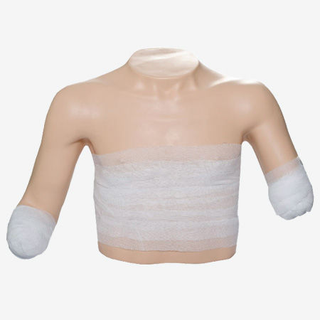 Manichino didattico per bendaggio - GD/LV13  - Shanghai Honglian Medical Instrument - di torso