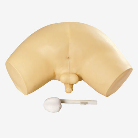 Manichino didattico di palpazione prostatica - GD/L63 - Shanghai Honglian Medical Instrument - di pelvi