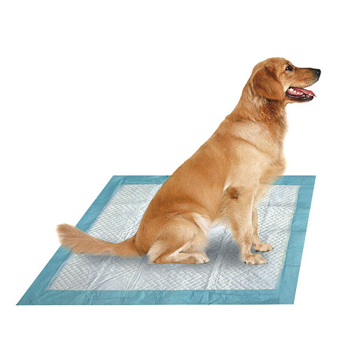 Traversa per incontinenza - SMD-282101 - Suzhou SunMed - veterinario