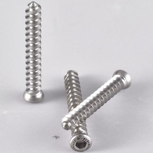Vite per compressione ossea generica - Taeyeon Medical - in metallo / non bloccata / da spongiosa