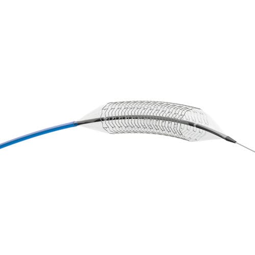 Stent periferico - THALISFlex 6F - amg International - in cobalto-cromo