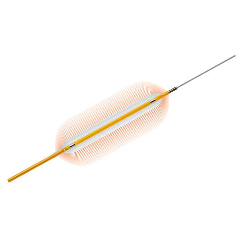 Catetere PTCA - Pantera®LEO - Biotronik - coronarico / con palloncino / 5 Fr