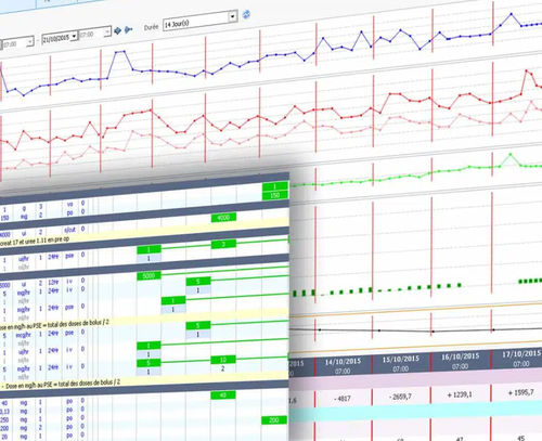 Sistema di gestione dell'informazione - EVOLUCARE - di dati / per terapia intensiva