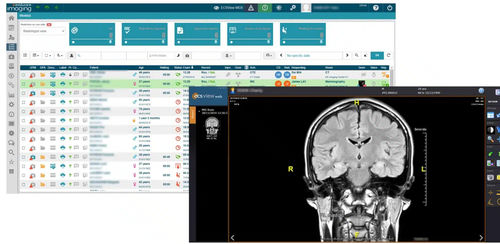 RIS di gestione - EVOLUCARE - di analisi / di fatturazione / per diagnostica per immagini
