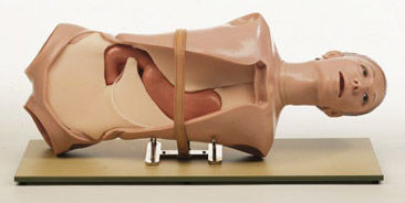 Manichino didattico per assistenza generale - CLA 4 - Coburger Lehrmittelanstalt - per la gastro-bulboscopia / per CPRE / di torso