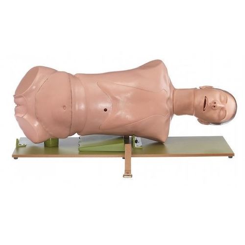 Manichino didattico per assistenza generale - CLA 4/5 - Coburger Lehrmittelanstalt - per intubazione / femminile / parte superiore del corpo