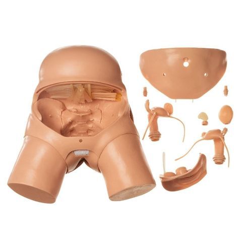 Manichino didattico per assistenza generale - CLA 14 - Coburger Lehrmittelanstalt - per la pelviscopia / femminile / di pelvi