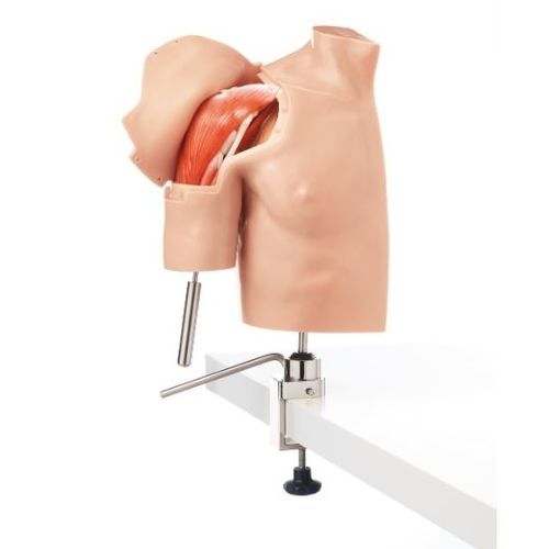 Manichino didattico per assistenza generale - CLA 15/3 - Coburger Lehrmittelanstalt - di spalla / in plastica
