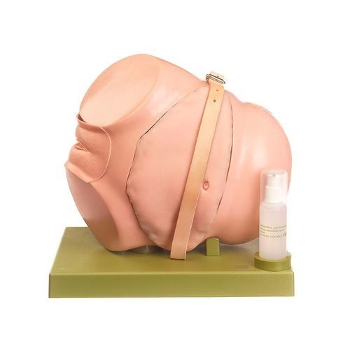 Manichino didattico per assistenza generale - CLA 5/4 - Coburger Lehrmittelanstalt - per coloscopia / di adulto / femminile