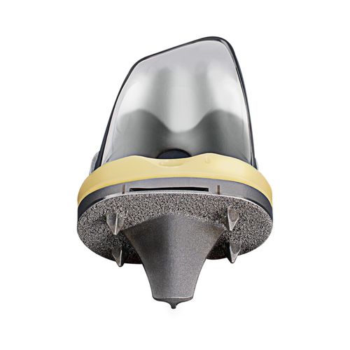 Protesi di ginocchio tricompartimentale - EMPOWR POROUS™ - Enovis Surgical - a piatto fisso / non cementata