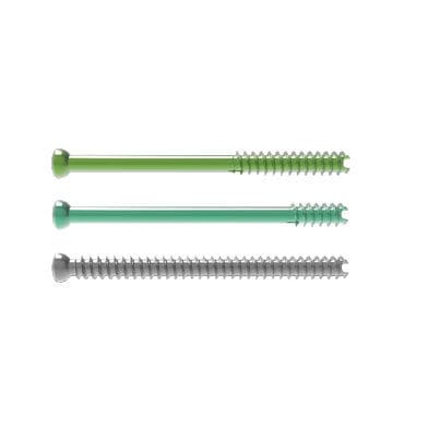 Vite per compressione ossea per caviglia - Activ - Newclip Technics - canalare / in metallo
