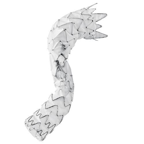 Innesto stent di aorta toracica - E-nside™ TAAA - Artivion - in nitinol / in ePTFE