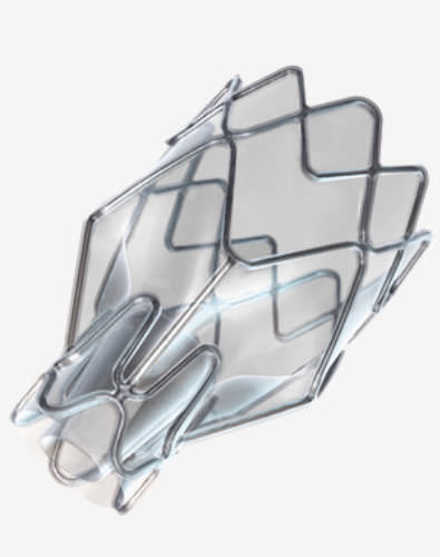 Bioprotesi valvolare in endobronchiale - ZEPHYR® - pulmonX - senza suture