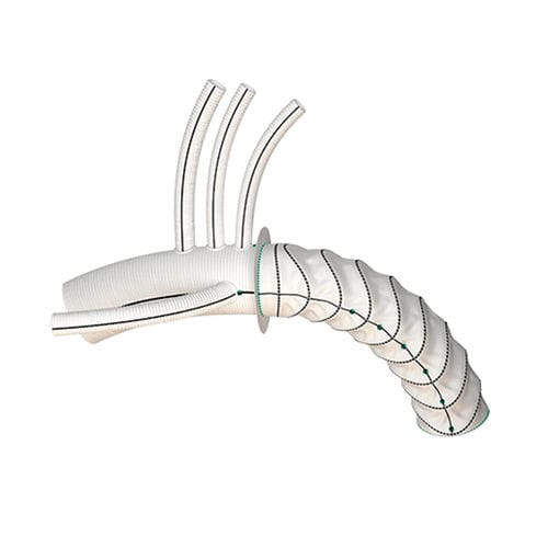 Innesto stent per arco aortico - Thoraflex™ - Terumo Aortic