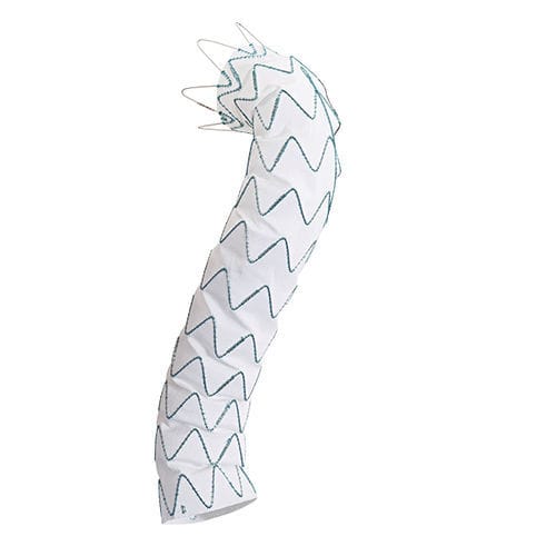 Innesto stent per aorta toracica ascendente - Relay®Plus - Terumo Aortic - di aorta toracica / in nitinol / idrofilo