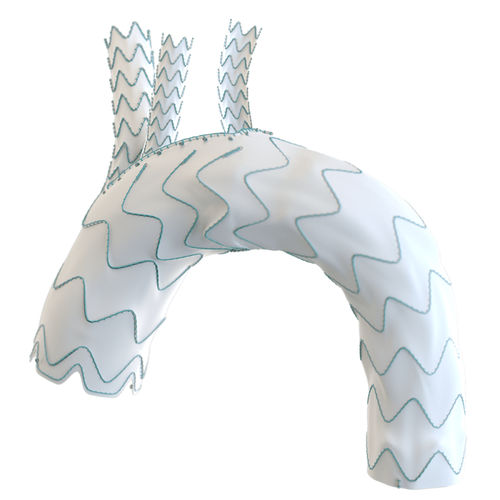 Innesto stent per arco aortico - Relay®Branch - Terumo Aortic - in nitinol / in ePTFE