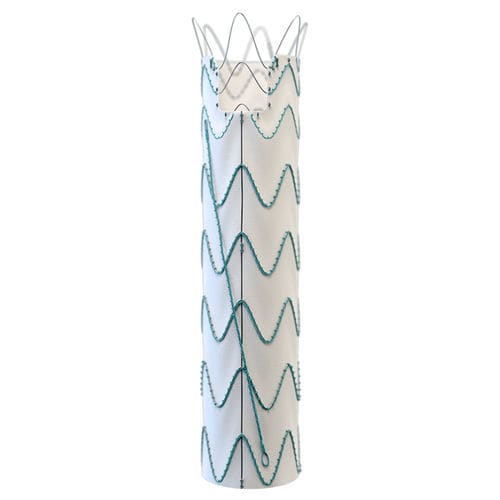 Innesto stent per aorta toracica ascendente - Relay® Proximal Scallop - Terumo Aortic - in nitinol / in ePTFE / idrofilo