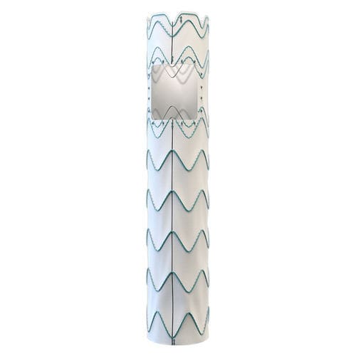 Innesto stent per arco aortico - Relay® Multi Feature - Terumo Aortic - in nitinol / in ePTFE