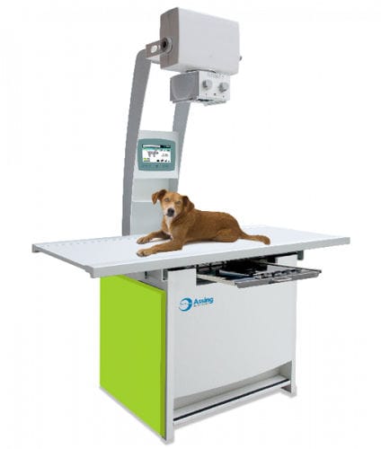 Sistema di radiografia veterinaria analogico - CDR  - Assing
