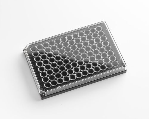 Micropiastra per imaging cellulare - 325001 - Porvair Sciences Ltd - ELISA / UV / da ricerca