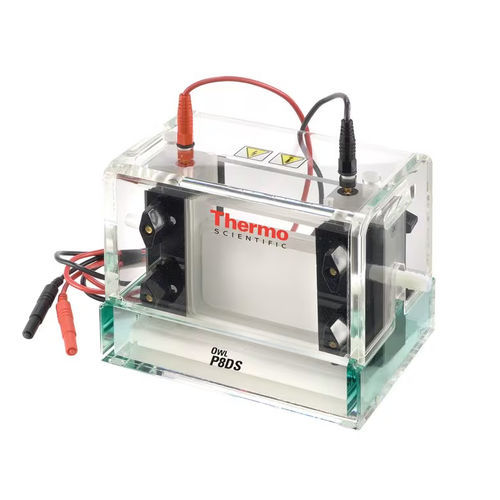 Camera di elettroforesi verticale - Owl™ Dual - Thermo Scientific