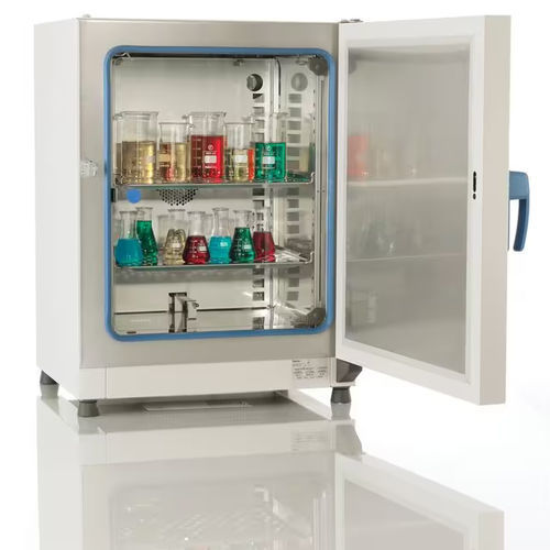 Incubatore da laboratorio a convezione forzata - Heratherm™  - Thermo Scientific - microbiologico / da banco / in acciaio inossidabile