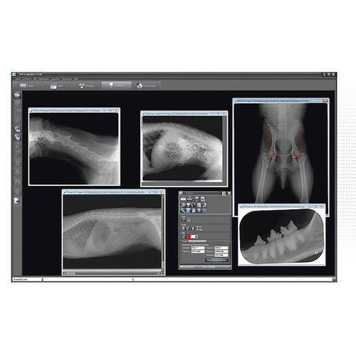 Software di ottimizzazione delle immagini - VET-EXAM plus - DÜRR MEDICAL - di acquisizione / di misura / medico