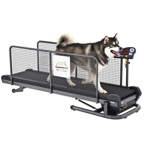 Tapis roulant veterinario per cani - Superior - Fit Fur Life Ltd