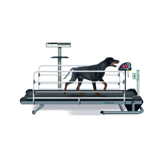 Tapis roulant veterinario per cani - CanidGait Fit Fur Life  - Fit Fur Life Ltd - a velocità regolabile / con barriere laterali regolabili