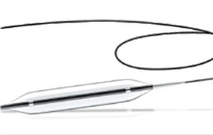 Catetere PTCA - Maya - Arthesys - coronarico / con palloncino