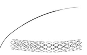 Stent coronarico - Cygnus II - Arthesys - in cobalto-cromo