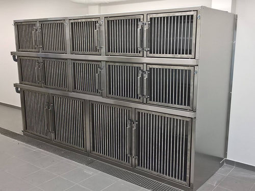 Gabbia veterinaria modulare - Gtebel - con rotelle / in acciaio inossidabile