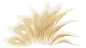 Sacca per ileostomia - SenSura® Mio - Coloplast