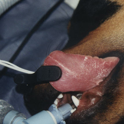 Sensore SpO2 per la lingua - POX022-450 - Mediaid Inc. - veterinario / riutilizzabile
