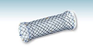 Stent tracheali - HANAROSTENT®(CCC) - M.I Tech