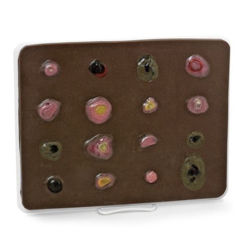 Modello anatomico della pelle - Life/form® - Nasco - di tumore