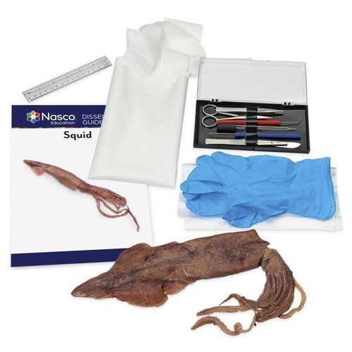 Simulatore di dissezione - NASCOGuard® - Nasco - di anatomia / in kit / in plastica